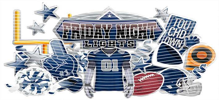 16oz team-NFL 3233